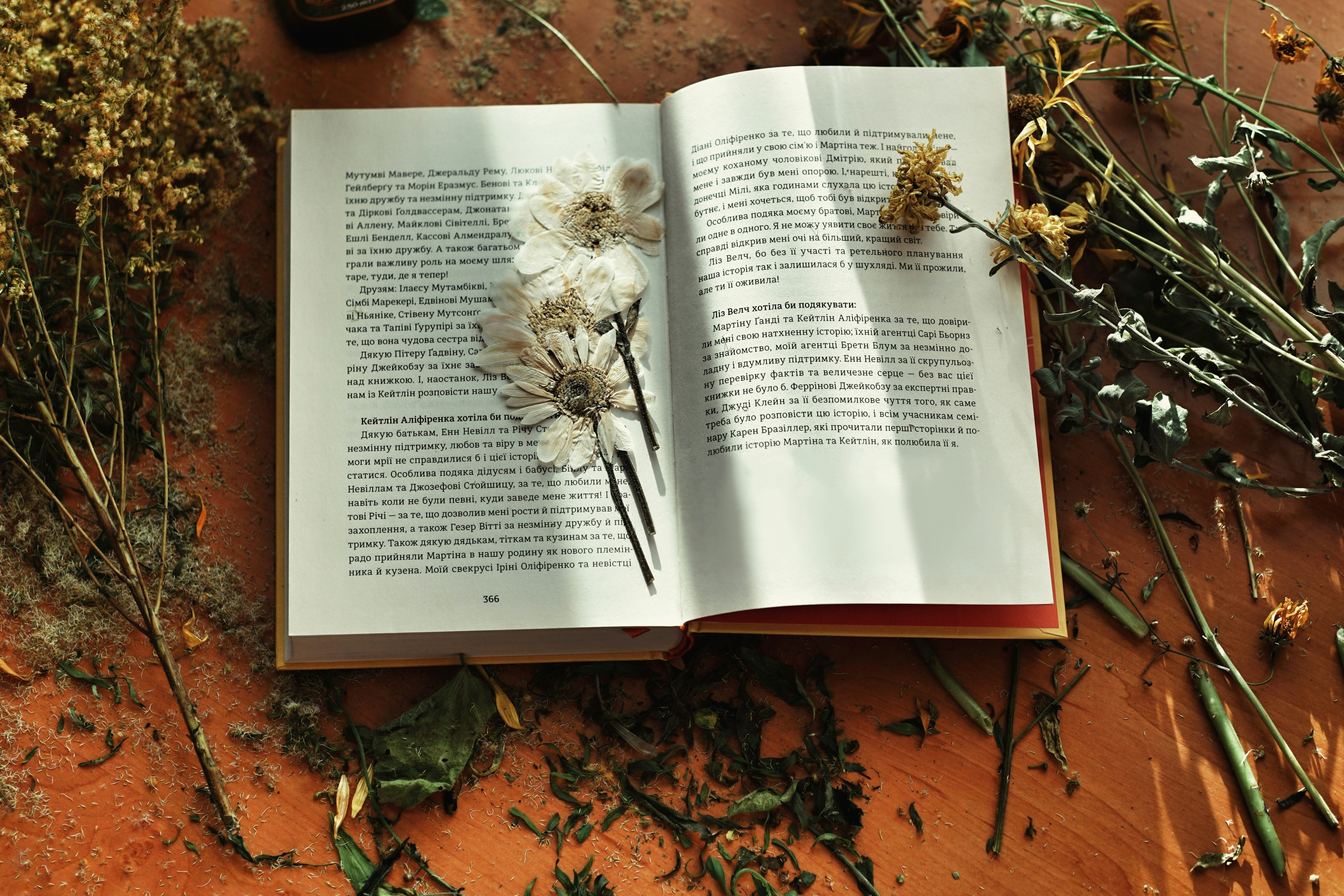 white book page on brown dried leaves